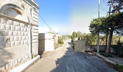 Guastamacchia Giuseppe - Piante e fiori, Fiorista a Giovinazzo