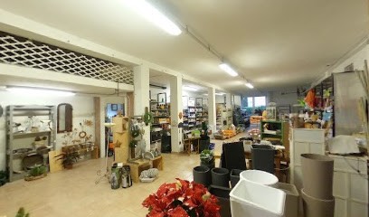 Fata Di Tabanelli Ing. Alfio (S.N.C.), Fiorista a Lugo