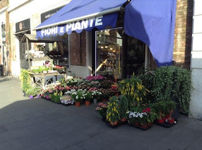 Flowers And Plants, Fiorista a Roma