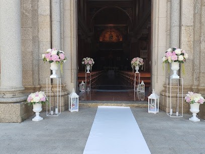 Molly Green Piante E Fiori Di Mercatante Maria, Fiorista a San Costantino Calabro