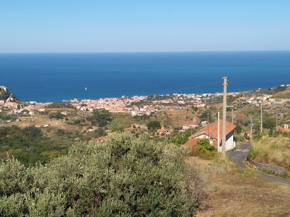 Impieri Luciano, Fiorista a Belvedere Marittimo