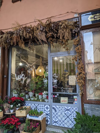 Fuori dal Mazzo, Fiorista a Bologna