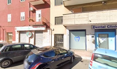 La Mammola, Fiorista a Taranto