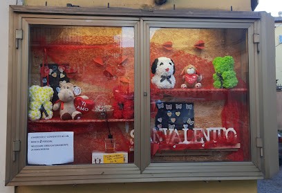 La Magnolia, Fiorista a Terni