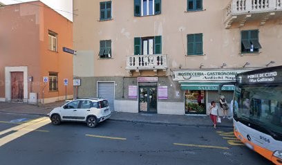 Il Tuo Fiore, Fiorista a Genova