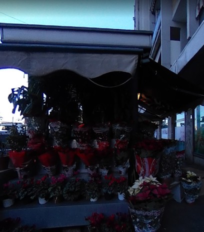 Minhas Piante E Fiori, Fiorista a Roma