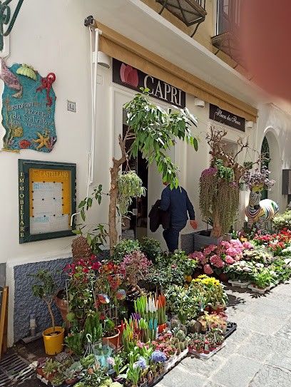 Capri Places Des Fleurs, Fiorista a Capri