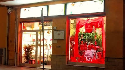 Cattleya Flora Sestu, Fiorista a Sestu