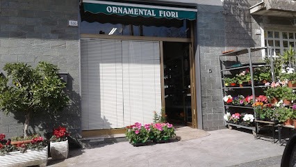 Tabuso Giusi - Piante E Fiori, Fiorista a Giarre