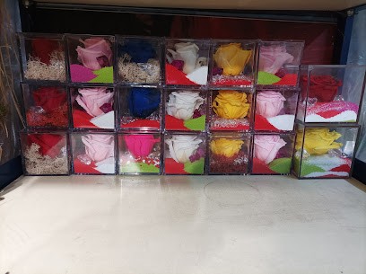 Piante E Fiori Di Sandro(Sanju), Fiorista a Roma