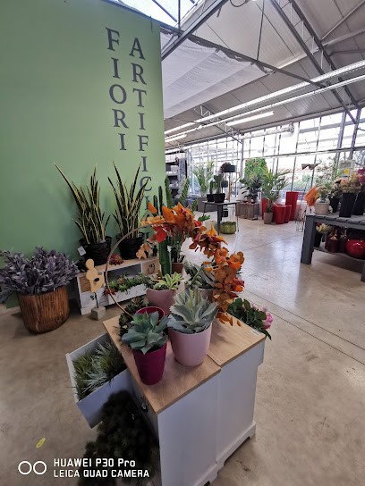 Catina Flora, Fiorista a Mapello