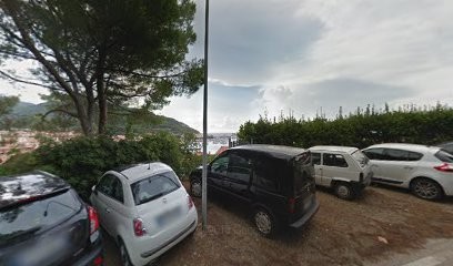 Flores Viale Regina Margherita, 11, Fiorista a Marciana Marina