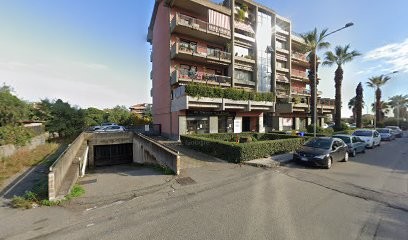 Il Verde E I Fiori Prodotti Per Fioristi, Fiorista a Giarre