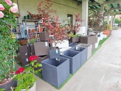 Verd&fiori Garden Center, Fiorista a San Giorgio Piacentino