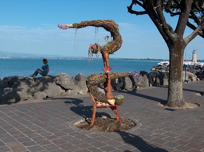 Asso di fiori di Boncompagni Giuseppe, Fiorista a San Giustino