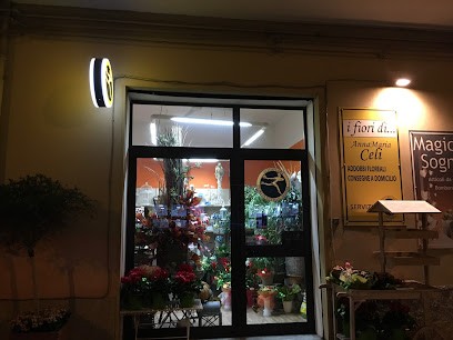 Celi Annamaria Fiori E Piante, Fiorista a Lamezia Terme