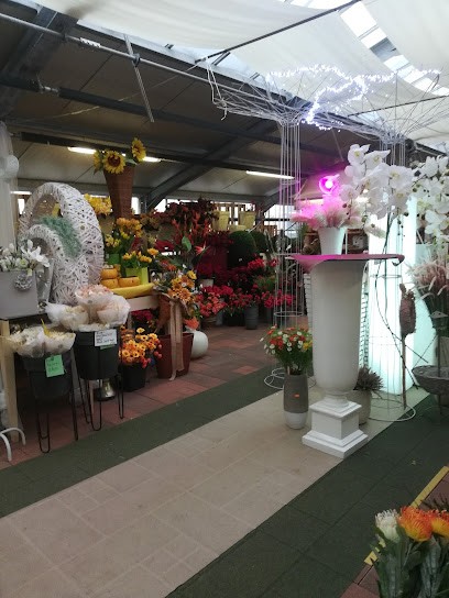 Fioreria Tiberio Bisinella, Fiorista a Rosà