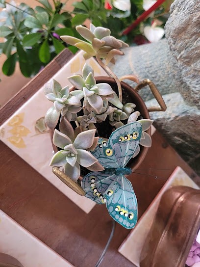 Flora piante e fiori, Fiorista a Cavaglià