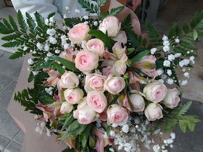 Momenti Piante & Fiori a Carpi di Frateschi Paola, Fiorista a Carpi