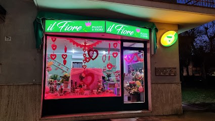 Il Fiore Di Rossella, Fiorista a Gaglianico