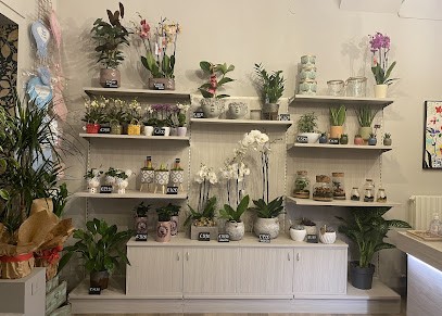 I Fiori Di Emelì, Fiorista a Caraglio