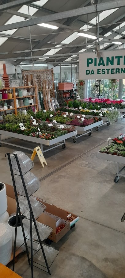 Il Fiore è..., Fiorista a Crevacuore