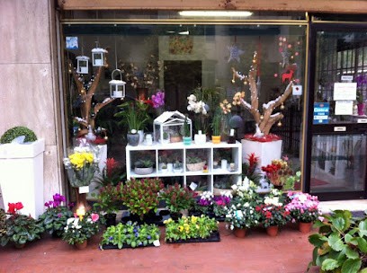 Angolo Fiorito Snc, Fiorista a Venezia