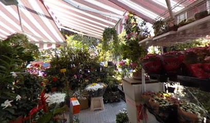 Chiosco Di Fiori E Piante Di Zaman, Fiorista a Roma
