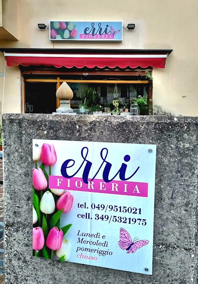 Fioreria Erri Di Erri Cavaletto, Fiorista a Agna