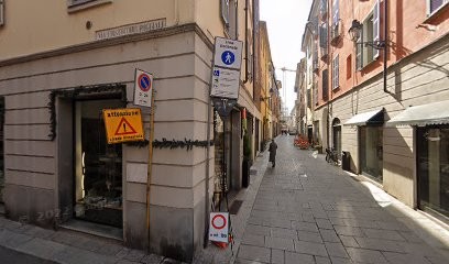 Il Castello Di Foglie Di Agnelli Luigi, Fiorista a Piacenza