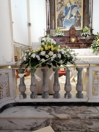 ROSSELLA PIANTE E FIORI, Fiorista a Vibo Valentia