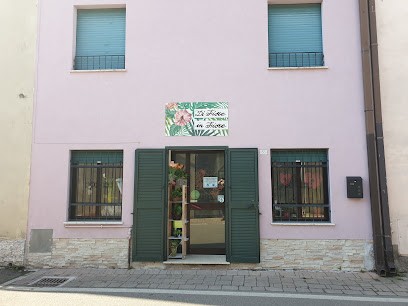 Di Fiore In Fiore, Fiorista a Villafranca di Verona