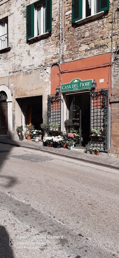 Casa Del Fiore Di Luca, Fiorista a Perugia