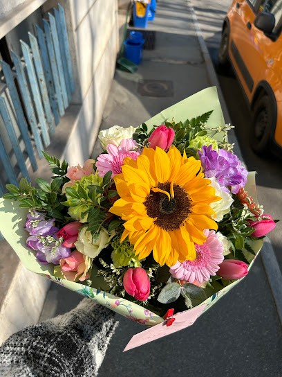 Les Fleurs - Negozio Di Fiori E Piante, Fiorista a Villar Perosa