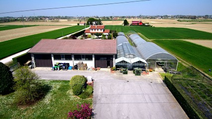 Floricoltura Terrin, Fiorista a Fossò