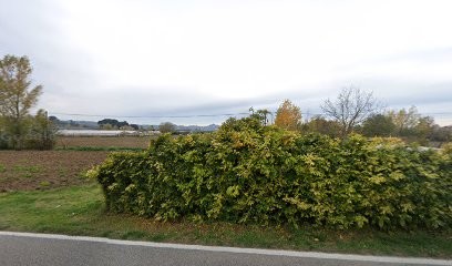 Bagni Remo, Fiorista a Empoli