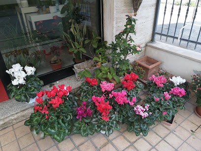 Fioreria Ditelo Con I Fiori Di Scola' Lina Civitanova Marche, Fiorista a Civitanova Marche