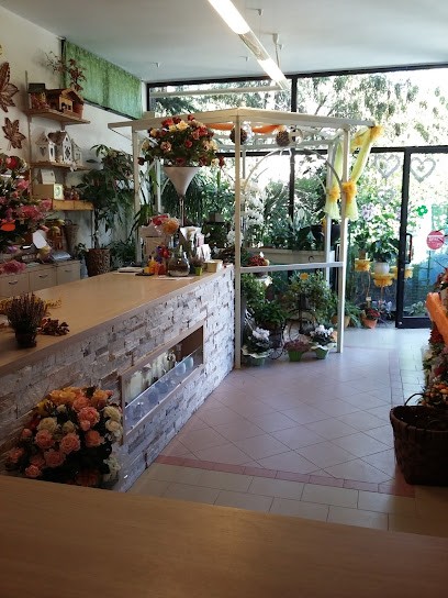 Le Monelle Di Patrizia Magnani, Fiorista a Reggio nell'Emilia