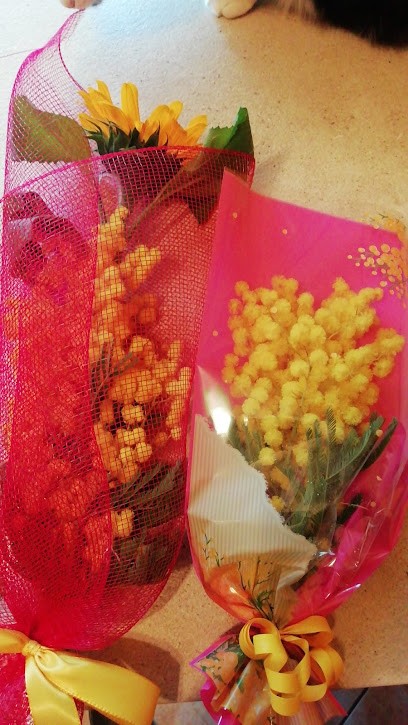 Fiorista Morselli, Fiorista a Mirandola