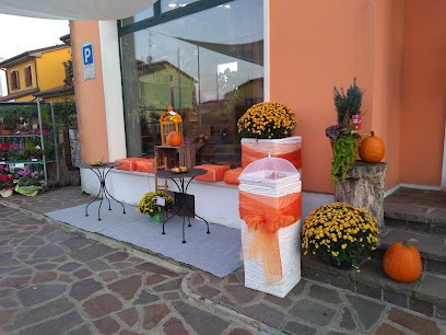 L'Albero Delle Meraviglie Di Zerbinati Silvia, Fiorista a Occhiobello