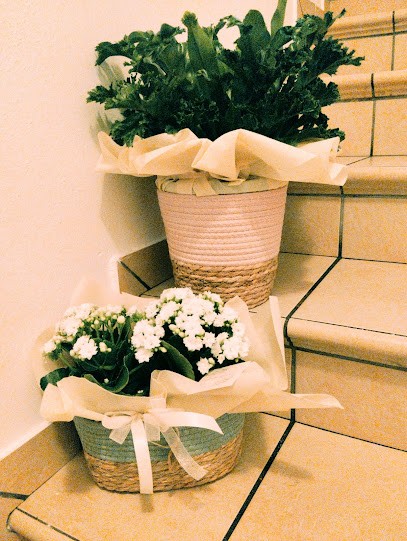 Arte e Fiori di Alberti Rosita, Fiorista a Calvisano