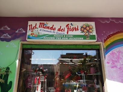 Nel Mondo dei Fiori, Fiorista a Carmiano