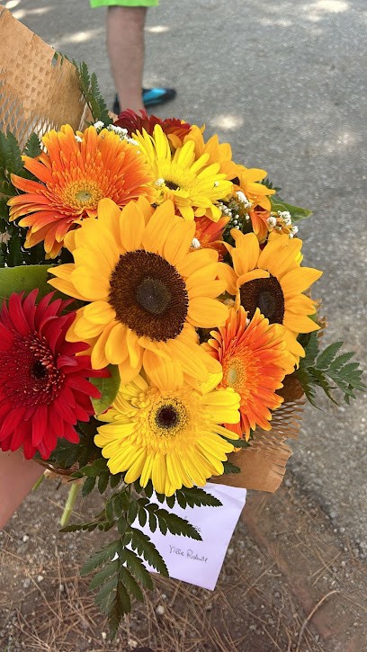 Accordino Fiori, Fiorista a Gioiosa Marea