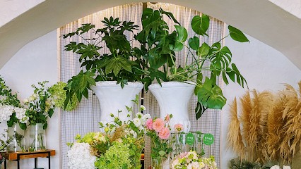 Officina Dei Fiori, Fiorista a Viterbo