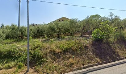 Garden Ninfea, Fiorista a Chieti