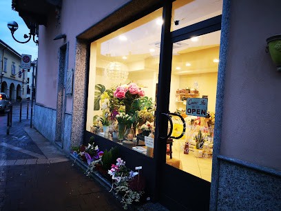 Alex Fiori Di Rabellotti Laura, Fiorista a Romentino