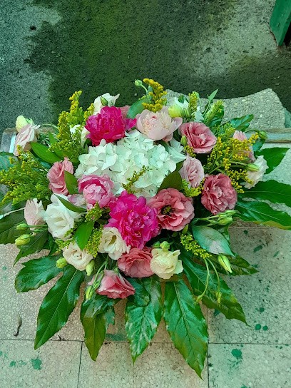 Piante E Fiori Ayman, Fiorista a Roma