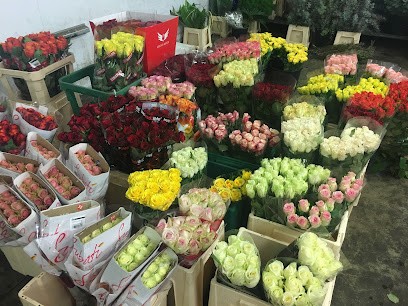 Fabio Fiori Di Basso Fabio, Fiorista a Genova