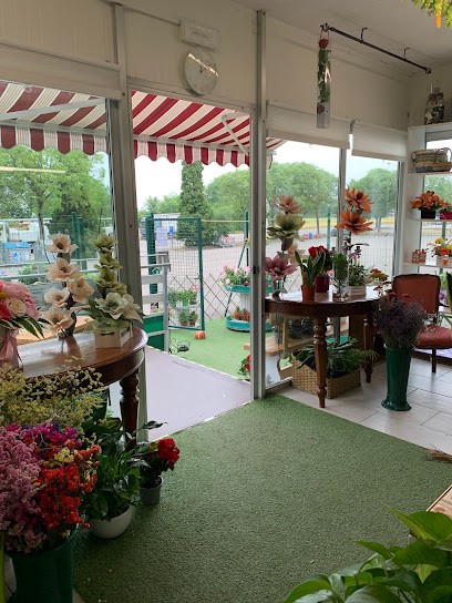 Dalí Flowers, Fiorista a Fiorano Modenese