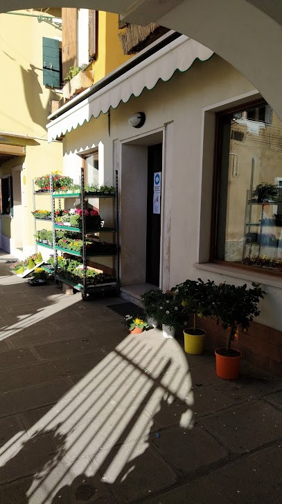Fioreria Eden Di Vianello Giovanni E Francesco, Fiorista a Venezia